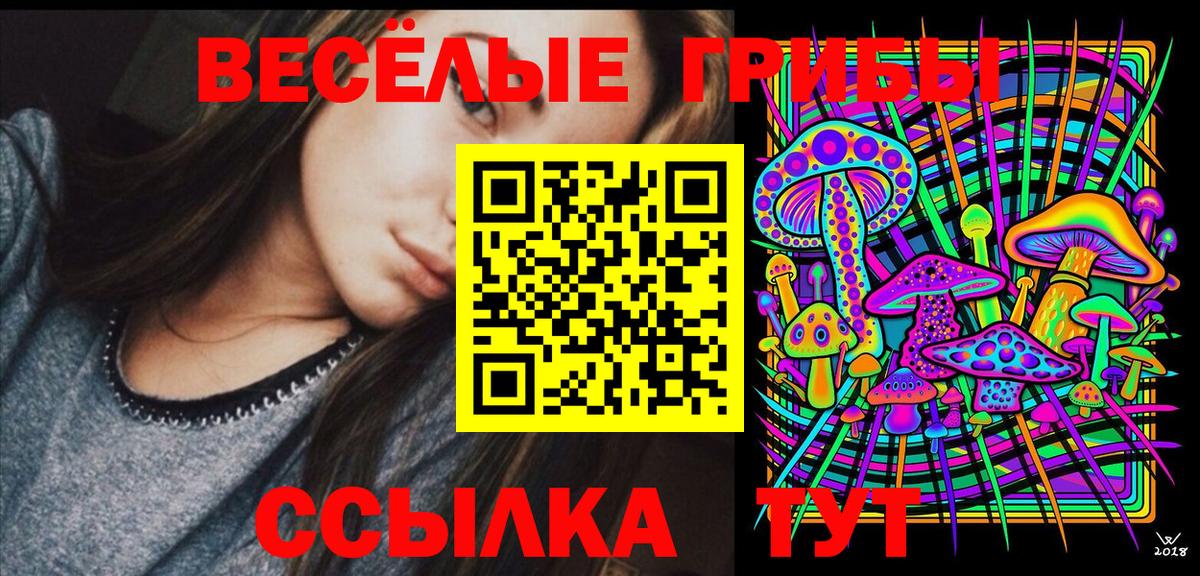 где продают   Псилоцибиновые грибы Magic Shrooms  Щёлково  Вход с VPN  Галлюциногенные грибы GOLDEN TEACHER 